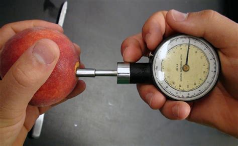 fruit testing tool for peaches